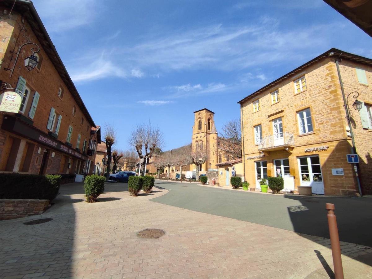Appartement Oingt - Les Meubles Des Pierres Dorees Theize エクステリア 写真